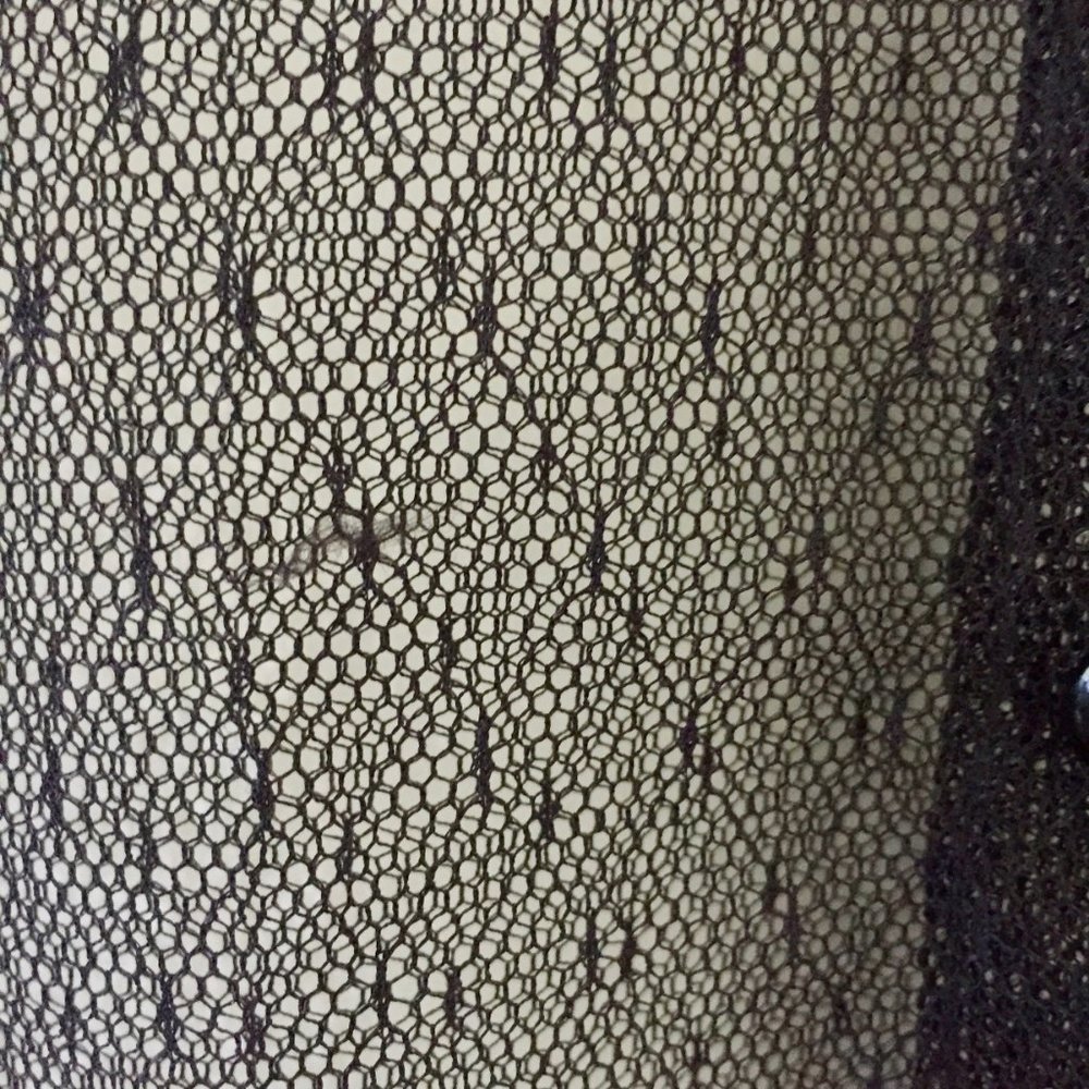 The Limited Sheer Button-up Blouse - Vintage - Picture 4 of 5